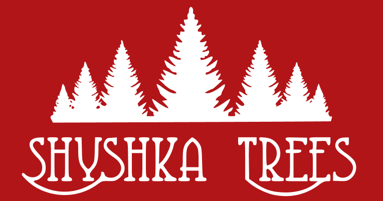 Shyshka trees